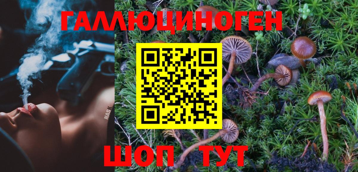 Галлюциногенные грибы MAGIC MUSHROOMS Калуга